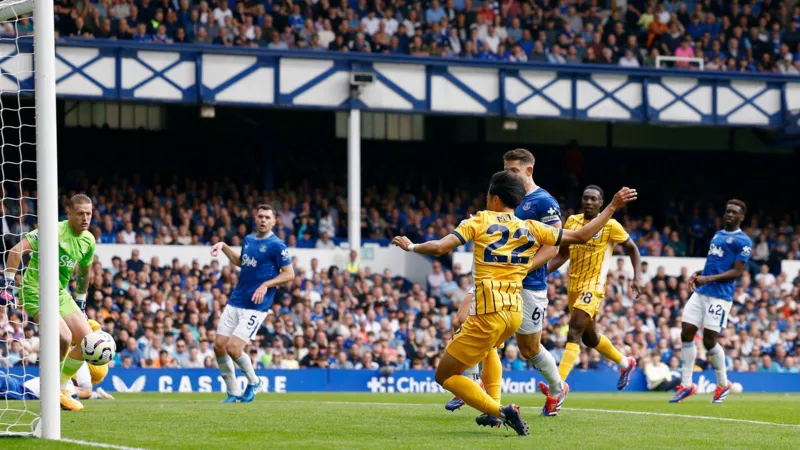 "JUST IN: Brighton New Coach Fabian Hurzeler Welcomes Everton With a Stunning Debut Win...Read more"