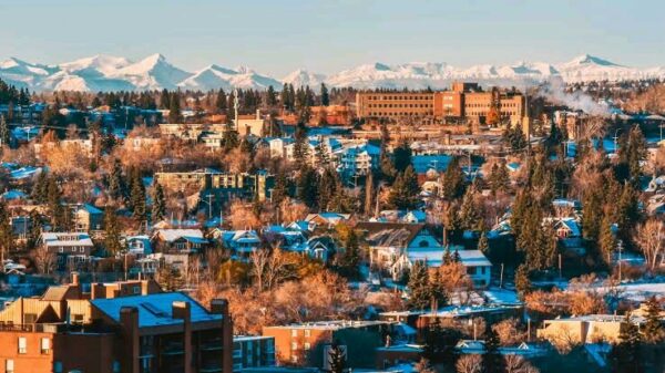 Calgary to Plant Nearly 1 Million Trees After Funding Boost from Feds