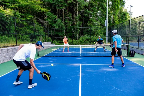 JUST IN;Out of Practice for Pickleball Malaysia: Two Key Players Listed as to…