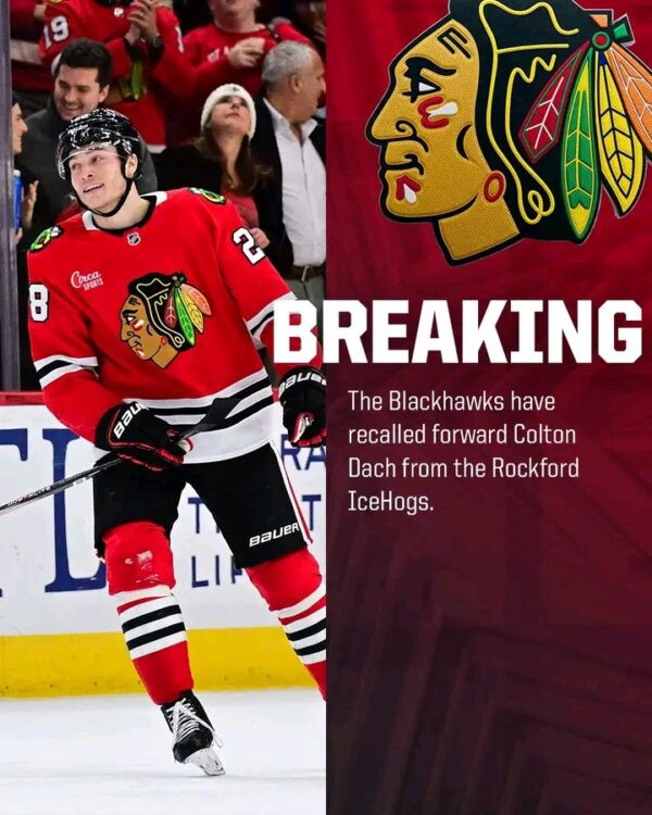 BREAKING NEWS: Colton Dach Returns to the Chicago Blackhawks; A New Chapter Begins